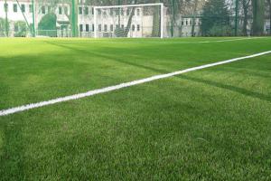 Boiska - trawa sztuczna