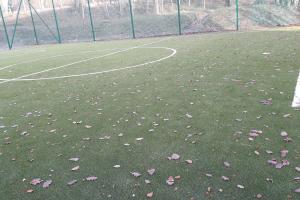 Boiska - trawa sztuczna