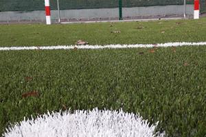 Boiska - trawa sztuczna