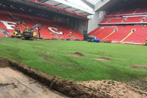 Boiska - trawa naturalna