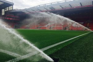 Boiska - trawa naturalna