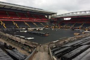 Boiska - trawa naturalna