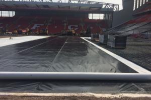 Boiska - trawa naturalna