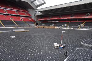 Boiska - trawa naturalna