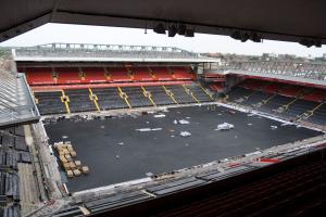 Boiska - trawa naturalna