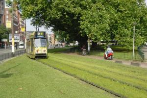 Drogi, ulice, parkingi