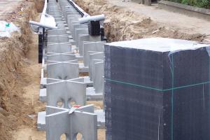 Ochrona drzew w przestrzeni miejskiej