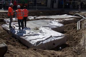 Ochrona drzew w przestrzeni miejskiej