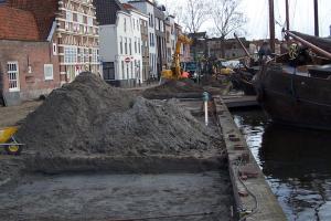 Ochrona drzew w przestrzeni miejskiej