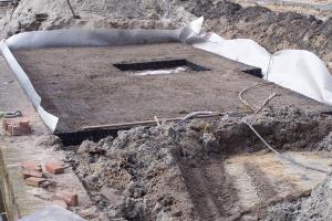 Ochrona drzew w przestrzeni miejskiej