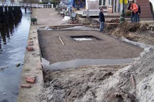 Ochrona drzew w przestrzeni miejskiej