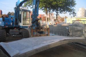 Ochrona drzew w przestrzeni miejskiej