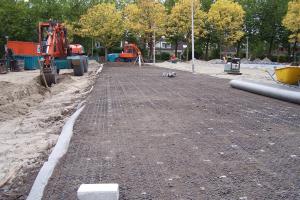 Ochrona drzew w przestrzeni miejskiej