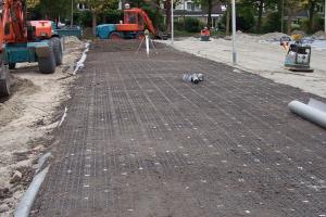 Ochrona drzew w przestrzeni miejskiej