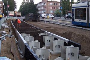 Ochrona drzew w przestrzeni miejskiej