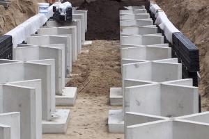 Ochrona drzew w przestrzeni miejskiej