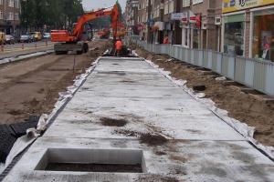 Ochrona drzew w przestrzeni miejskiej