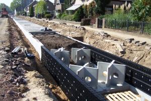 Ochrona drzew w przestrzeni miejskiej