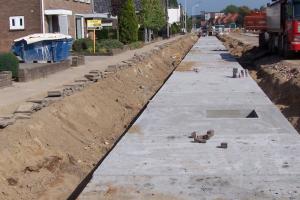 Ochrona drzew w przestrzeni miejskiej