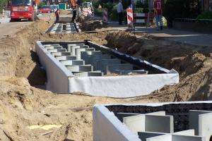 Ochrona drzew w przestrzeni miejskiej