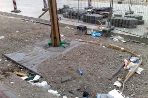 Ochrona drzew w przestrzeni miejskiej