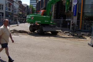 Ochrona drzew w przestrzeni miejskiej