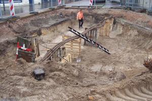 Ochrona drzew w przestrzeni miejskiej